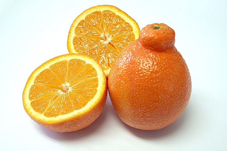 しらぬい(デコポン)